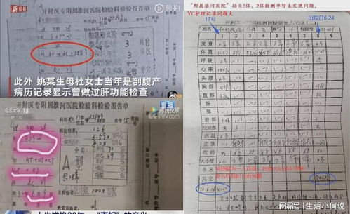 美国游客痛悔：一生最大错误竟是破坏日本寺庙