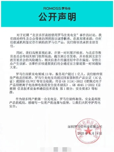 《罗马仕突发停工，充电宝市场风云再起！》