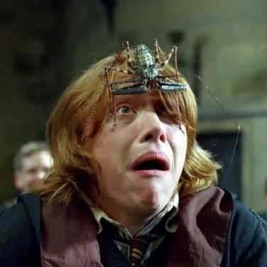 《蜘蛛恐惧模式崛起：揭秘游戏新趋势》