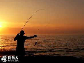 钓鱼悲剧！父子同场钓鱼，儿子额头被鱼钩穿透惊险瞬间