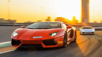 百万法拉利7天报废！租车公司维修费惊爆30万+