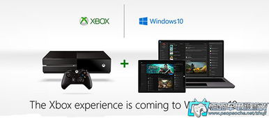 微软Xbox部门面临财务困境：曝不切实际要求或致部门受损