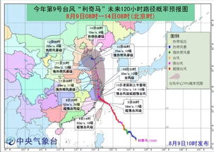 《严阵以待攻略：揭秘“谢谢再来”关键人物分布》