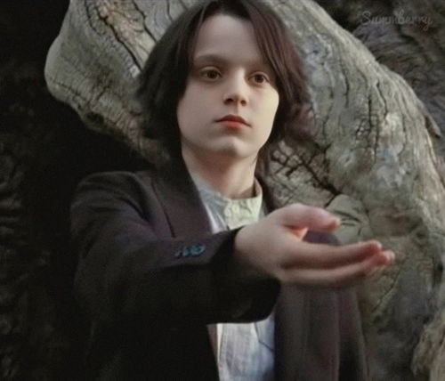 《哈利波特》演员力挺黑人斯内普：热议不断，粉丝心声引关注