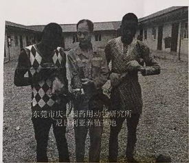 《死亡搁浅2》惊现走私大案！168张光盘绑藏旅客被捕