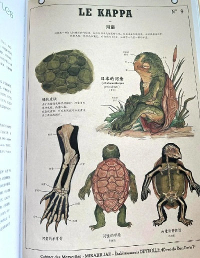 《盐面团怪物大盘点：图鉴揭秘神秘生物》