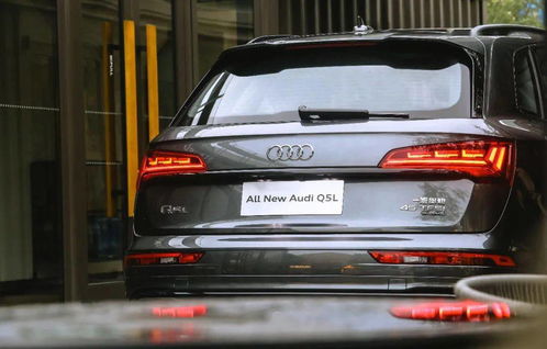 《Xbox国内账号更新恢复！揭秘幕后新变动》