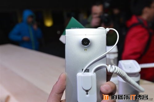 《皮克敏4》NS2升级版即将来袭！独家揭秘！