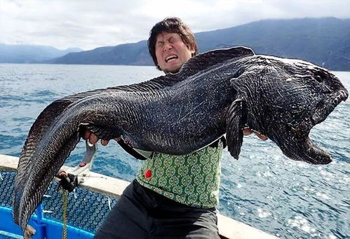 《帕鲁趴趴鲶捕捉攻略：隐藏抓捕点大揭秘》