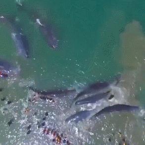 《死亡搁浅2No.3攻略：自由镇医疗装置高效运送技巧》