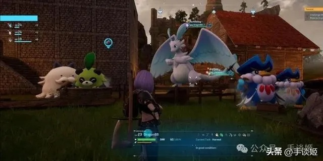 幻兽帕鲁鲁米儿捕捉攻略：揭秘隐藏捕捉点