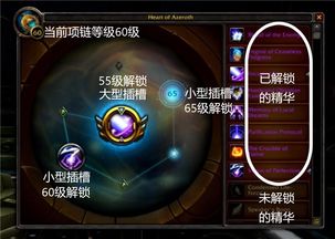 银与绯达尔卡罗技能深度剖析：全面解锁神秘力量