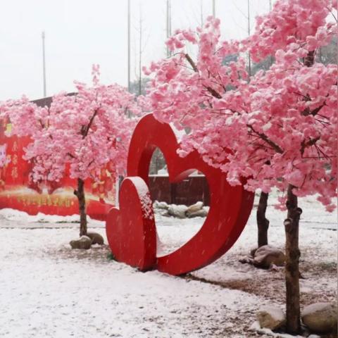 《银与绯眷属战力飙升秘籍：多维攻略速成》