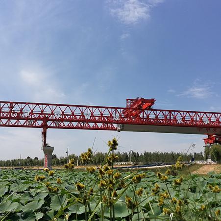 《晴空之下开荒攻略：萌新必看新手指南》