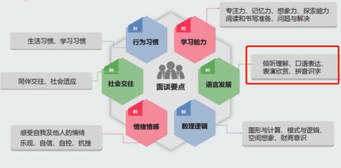 《晴空之下资源攻略：新手必看高效规划秘籍》