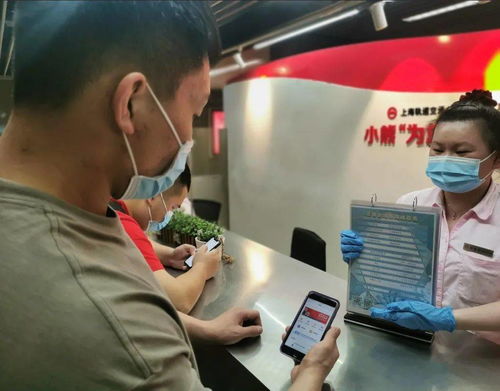 《2025年晴空最强阵容：打造全能型主力攻略》