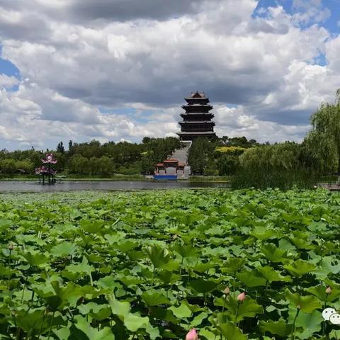 《2025版晴空之下：独家配队攻略，轻松上分》