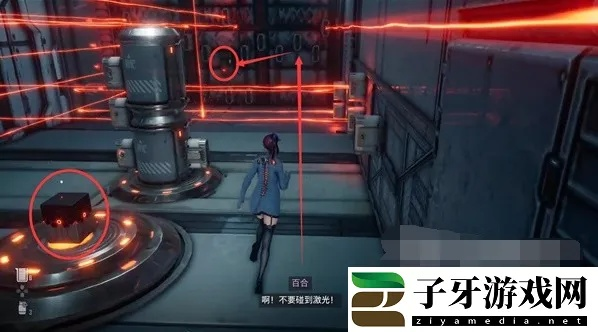 剑星黑玫瑰&天使玫瑰获取攻略：独家秘籍大揭秘