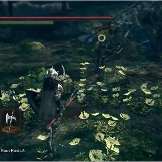 《仁王》引擎揭秘：光荣独家研发，打造沉浸式游戏体验