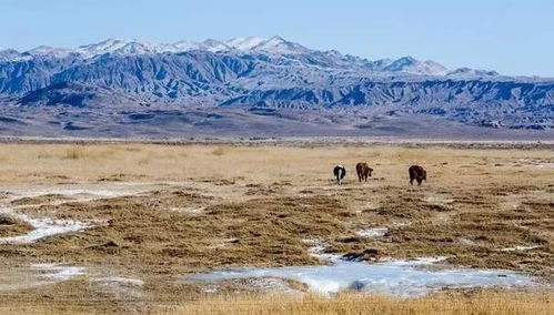 《羊蹄山VS对马岛：画面进化大揭秘》