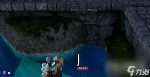 《揭秘幻境！帕鲁水灵儿捕捉秘境大公开》