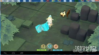 《帕鲁焰巫狐抓捕攻略：揭秘抓取成功率》