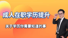 《帕鲁烽歌龙攻略：高效培养技巧揭秘》