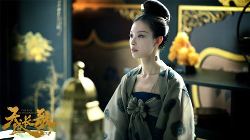 娄艺潇：戏无大小，长剧短剧皆精彩！