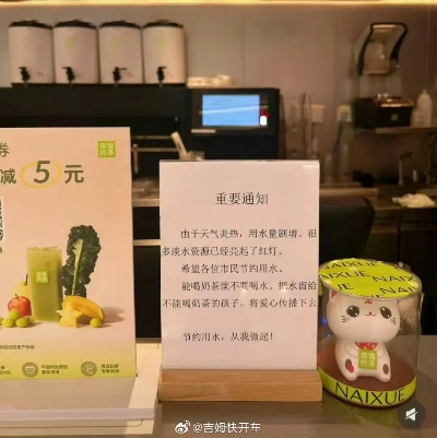 小米SU7勇闯武汉奈雪茶店：堂食禁令下挑战营业奇迹