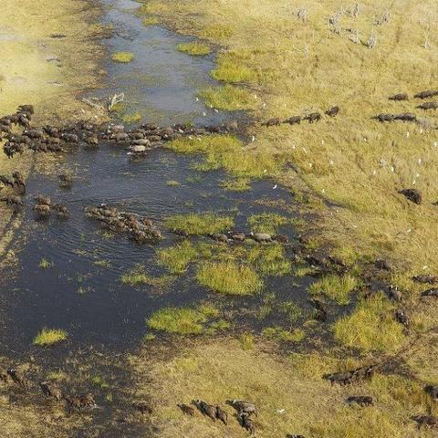 《羊蹄山之魂》PS5独占外壳，初代玩家权益何在？