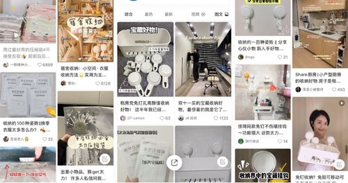 Altus社未来攻略：粉丝IP双赢策略深度解析