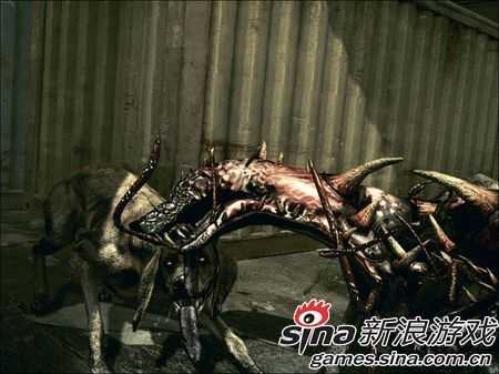 《生化危机》宠物惊悚照大集合！网友晒萌宠变鬼畜