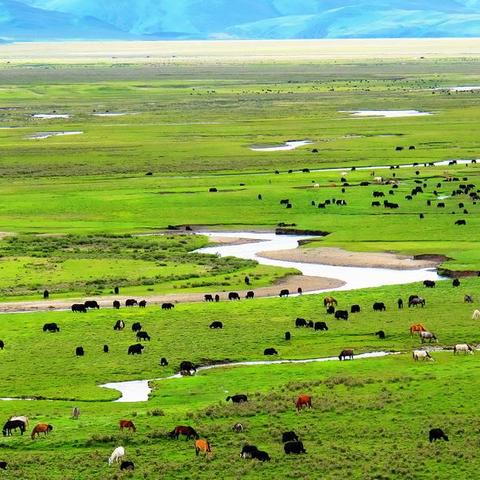 《2025晴空之下新手必看！高效入门攻略揭秘》