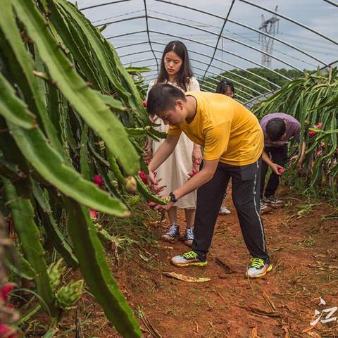 《圆滚滚致富奇遇：丑蛙池塘养成记》