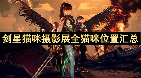 剑星寒城猫咪拍照圣地大揭秘！🐾全点位攻略一览