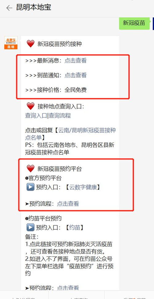 Xbox紧急！频繁提示更新，真相揭秘！