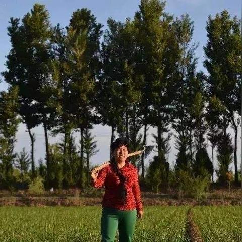 沙丘觉醒金刚粉速成攻略：高效获取秘籍大揭秘