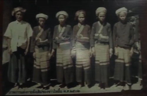 《帕鲁黑月女王抓捕攻略：揭秘抓取技巧与价值》