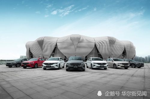 吉利汽车巨资收购极氪，汽车行业新格局！