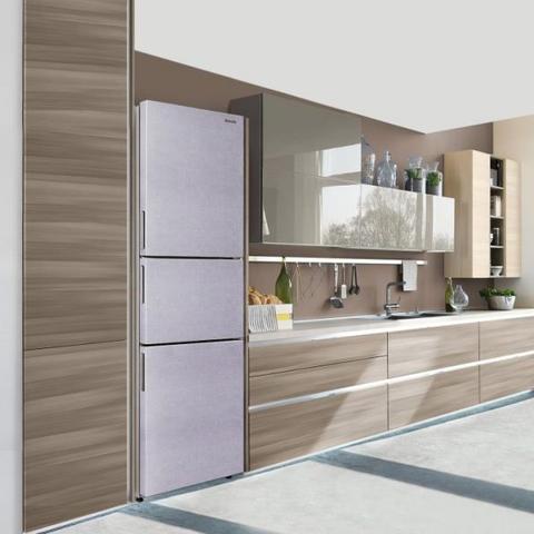 罗永浩挑战：万元级无霜冰箱VS传统结霜冰箱，谁才是王者？