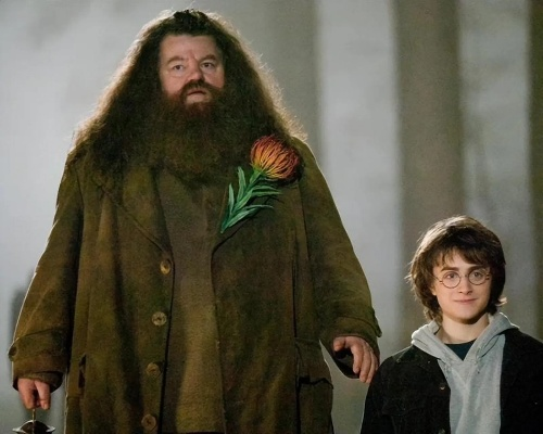 《哈利波特》海格定妆照曝光：大胡子还原度爆表！