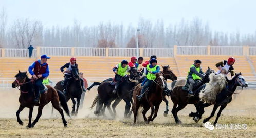 《赛马娘》春乌拉拉喜收2吨牧草，粉丝狂送爱心物资！