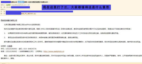 《CS2》市场巨震！V社新规BUG空手套白狼揭秘