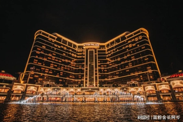 《向佐澳门赌场欠债百万：揭秘背后真相》