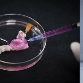 《大鼠帝国》Steam上线！蒸汽朋克即时战略新体验