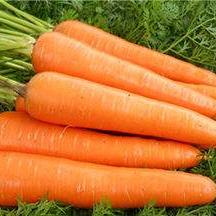 网红药丸狂减30斤！每日150粒挑战极限瘦身记