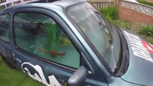 男子引擎盖养鱼被指非法改装，车衣奇观引关注