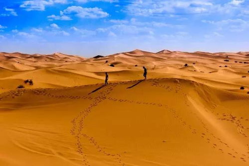 沙丘觉醒：沙漠腹地探险必备清单与丰厚回报揭秘