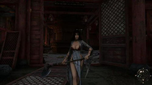 《明末：渊虚之羽》深度战斗解析，角色成长路线揭秘