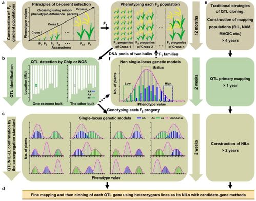 剑星日志09数据获取攻略：快速定位方法揭秘